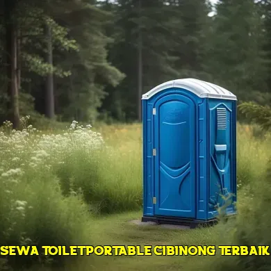 sewa toilet portable cibinong terbaik